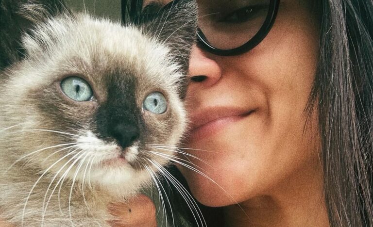 450509838 7919407574804270 2178353013758125383 n e1720813705611