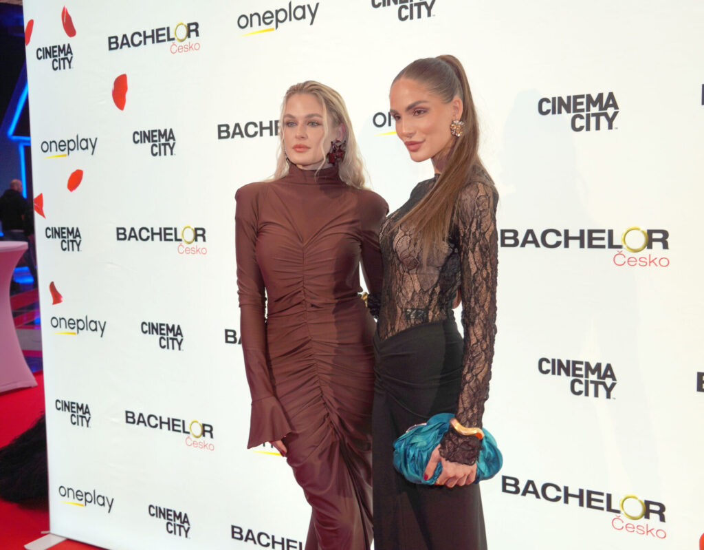 1320 stella tesarikova pavla vanickova